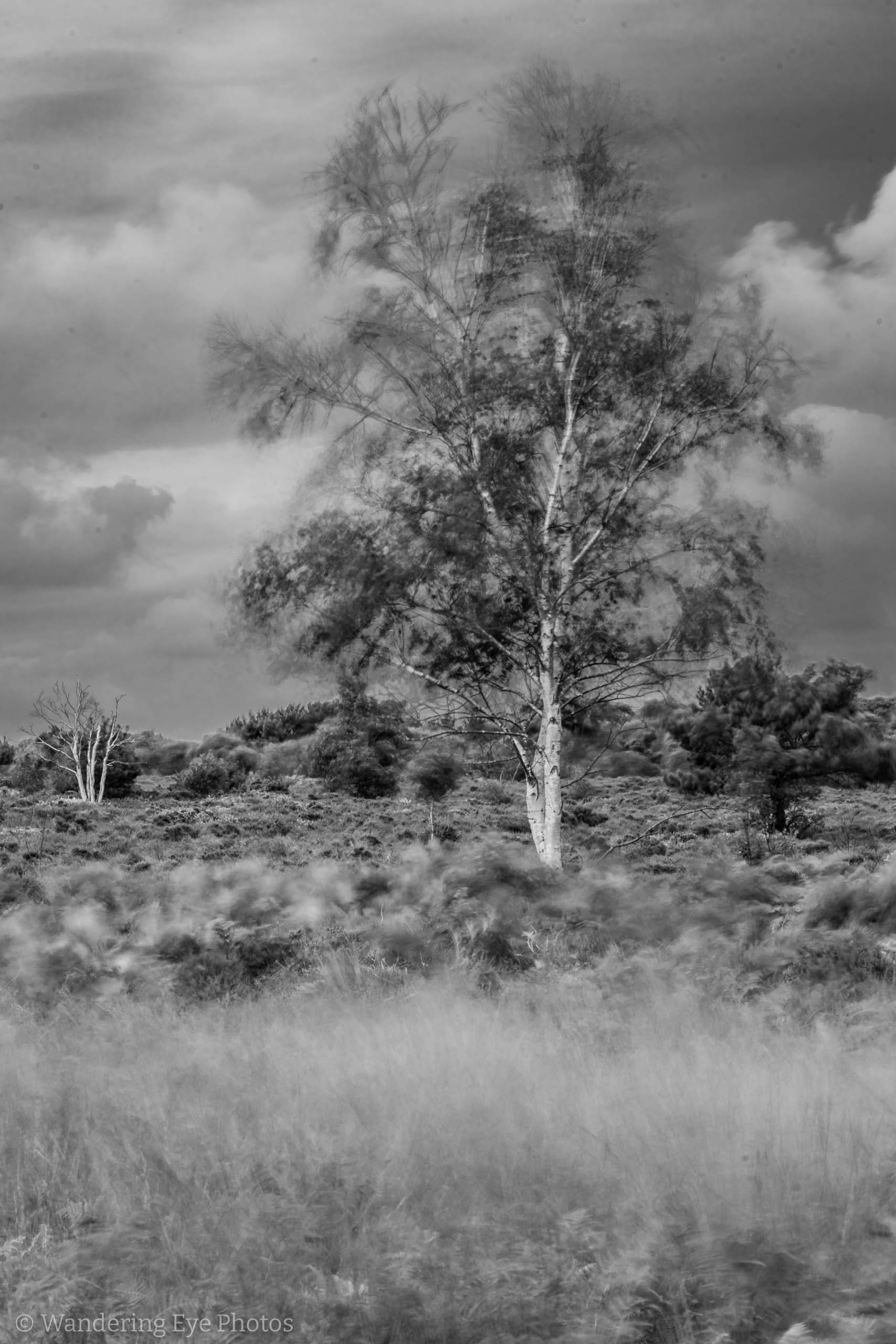 08.31 10.31.22   DSC02367